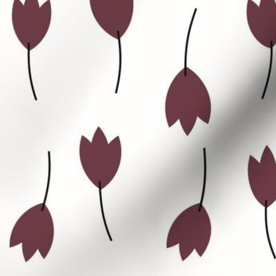 Tulips - burgundy on white flowers red wine floral Spring 