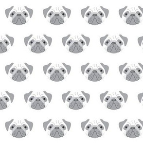 pugs - grey and white