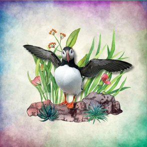 Proud Puffin