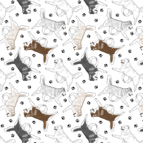 Trotting Siberian Husky and paw prints - white