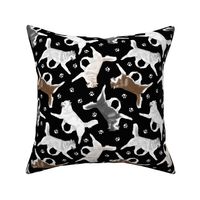 Trotting Siberian Husky and paw prints - black