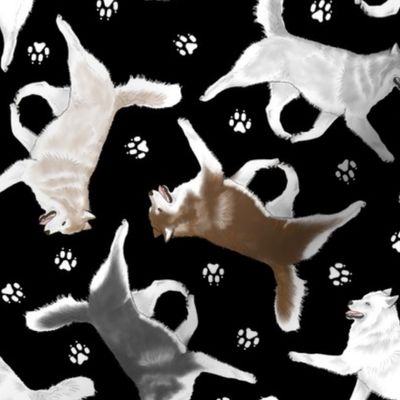 Trotting Siberian Husky and paw prints - black