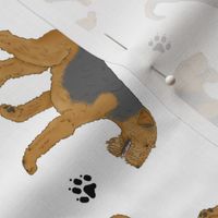 Trotting Airedale Terrier and paw prints - white