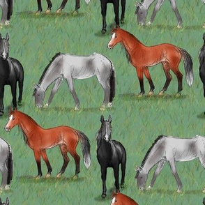 Black Bay and Gray Horses in a field