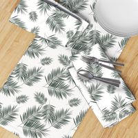 palm leaves - dark green on white fern leaf palm tree tropical || by sunny afternoon