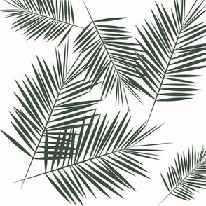 palm leaves - dark green on white fern leaf palm tree tropical || by sunny afternoon