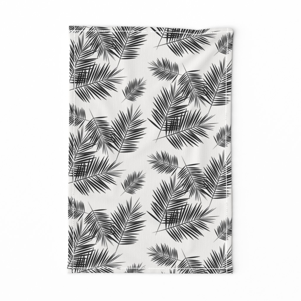 Palm leaf  - black and white monochrome palm leaves palm tree tropical summer beach || by sunny afternoon