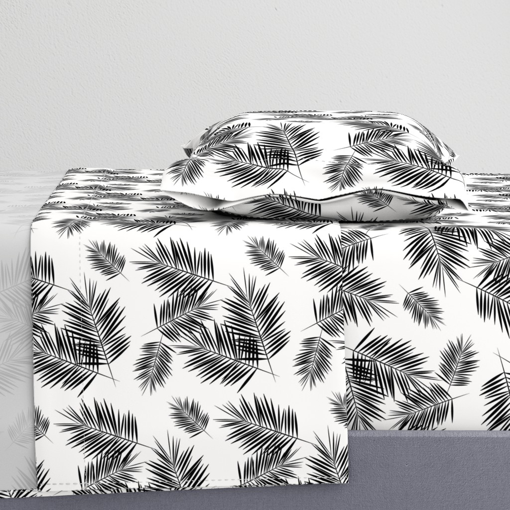 Palm leaf  - black and white monochrome palm leaves palm tree tropical summer beach || by sunny afternoon