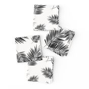 Palm leaf  - black and white monochrome palm leaves palm tree tropical summer beach || by sunny afternoon