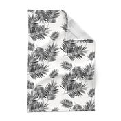 Palm leaf  - black and white monochrome palm leaves palm tree tropical summer beach || by sunny afternoon