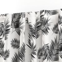 Palm leaf  - black and white monochrome palm leaves palm tree tropical summer beach || by sunny afternoon