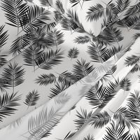 Palm leaf  - black and white monochrome palm leaves palm tree tropical summer beach || by sunny afternoon