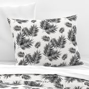 Palm leaf  - black and white monochrome palm leaves palm tree tropical summer beach || by sunny afternoon