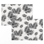 Palm leaf  - black and white monochrome palm leaves palm tree tropical summer beach || by sunny afternoon