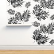 Palm leaf  - black and white monochrome palm leaves palm tree tropical summer beach || by sunny afternoon