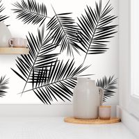 Palm leaf  - black and white monochrome palm leaves palm tree tropical summer beach || by sunny afternoon