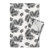 Palm leaf  - black and white monochrome palm leaves palm tree tropical summer beach || by sunny afternoon