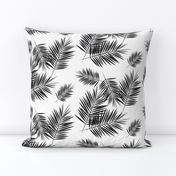 Palm leaf  - black and white monochrome palm leaves palm tree tropical summer beach || by sunny afternoon