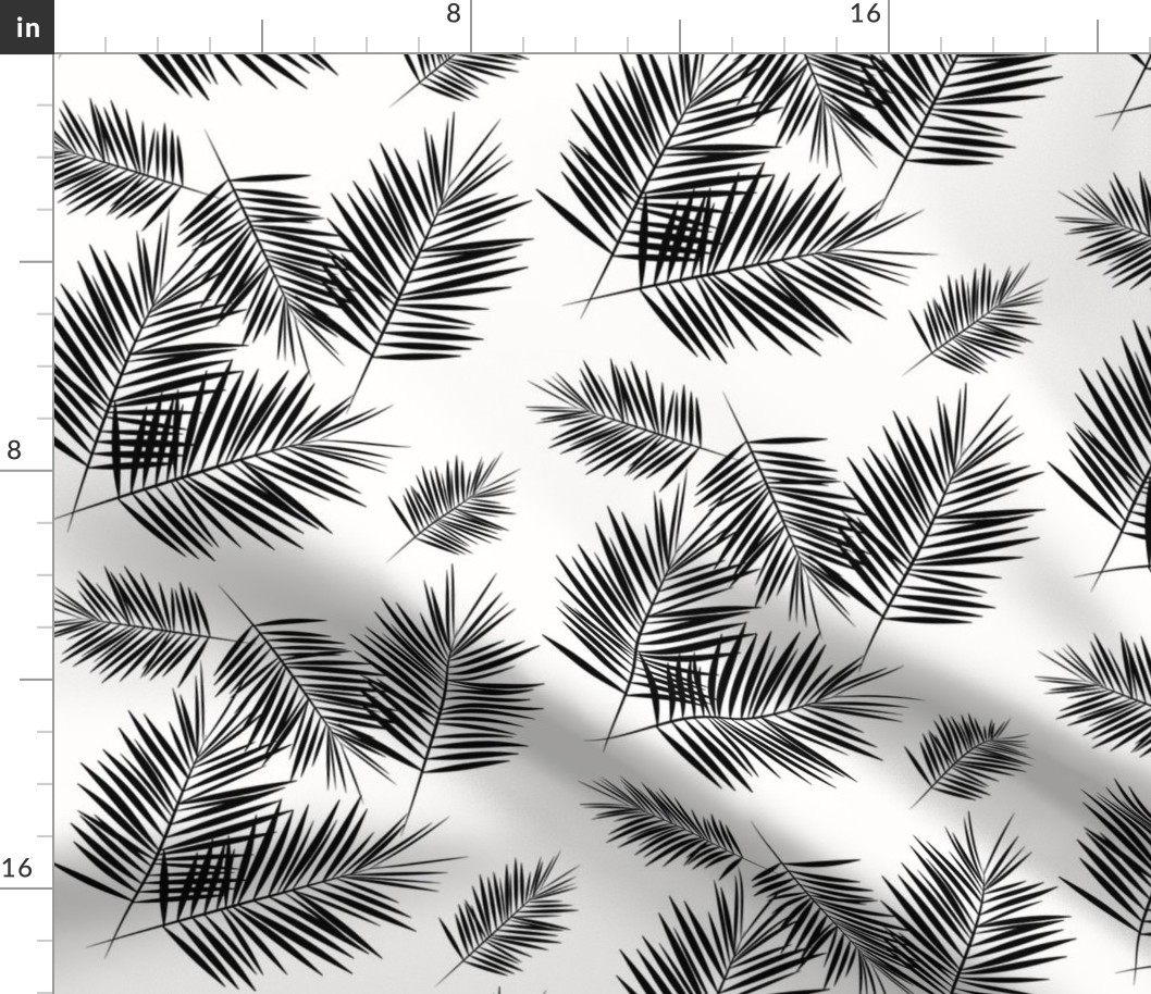 Palm leaf  - black and white monochrome palm leaves palm tree tropical summer beach || by sunny afternoon