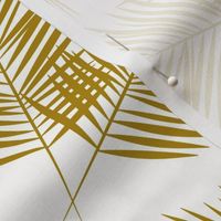 Palm leaf Palm tree  - palm leaves mustard golden on white tropical summer beach || by sunny afternoon