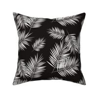 palm leaves - monochrome black and white palm tree fern tropical summer 