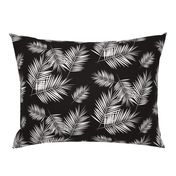 palm leaves - monochrome black and white palm tree fern tropical summer 