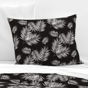 palm leaves - monochrome black and white palm tree fern tropical summer 