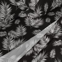 palm leaves - monochrome black and white palm tree fern tropical summer 