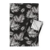 palm leaves - monochrome black and white palm tree fern tropical summer 