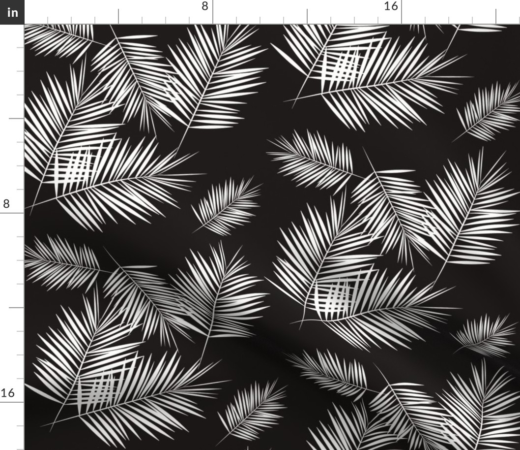 palm leaves - monochrome black and white palm tree fern tropical summer 