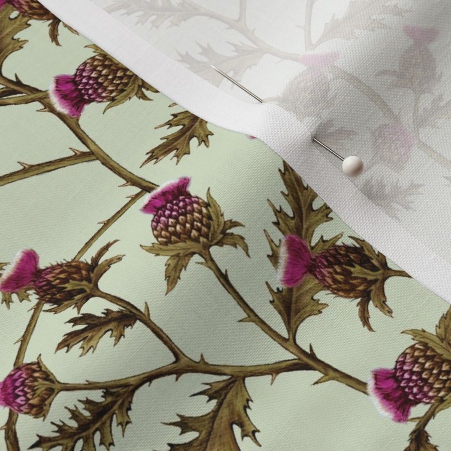 Thistle Brambles, Soft Green // standard