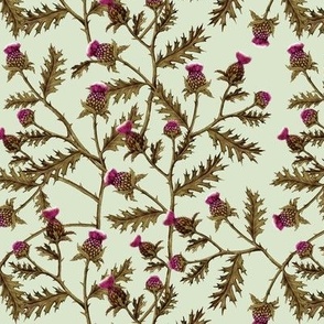 Thistle Brambles, Soft Green // standard