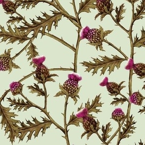 Thistle Brambles, Soft Green // large