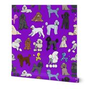 poodles_purple