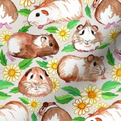 Guinea Pigs and Daisies in Watercolor on Light Tan