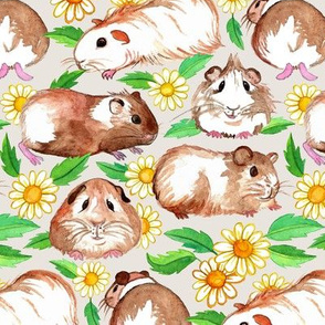 Guinea Pigs and Daisies in Watercolor on Light Tan