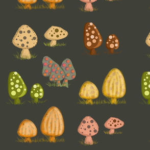 Mushrooms Dark Background