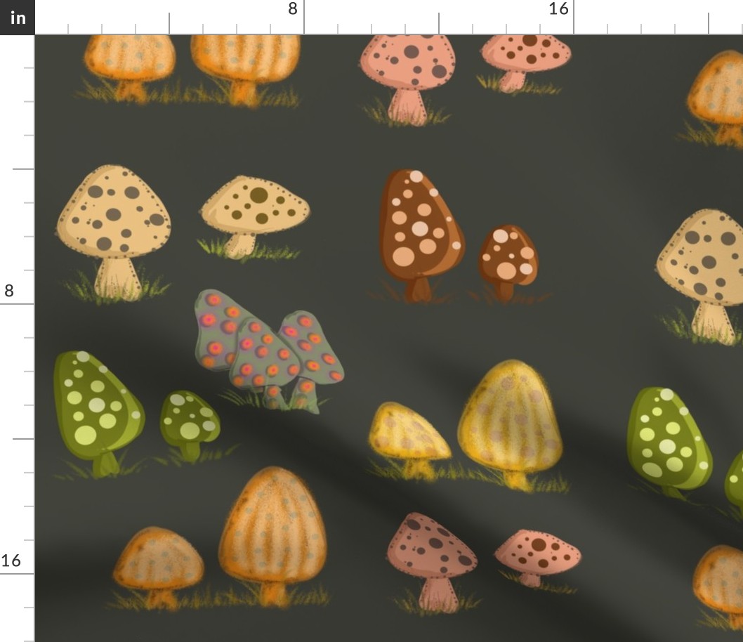 Mushrooms Dark Background