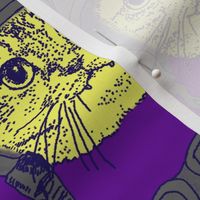 Moto Kitty on Purple