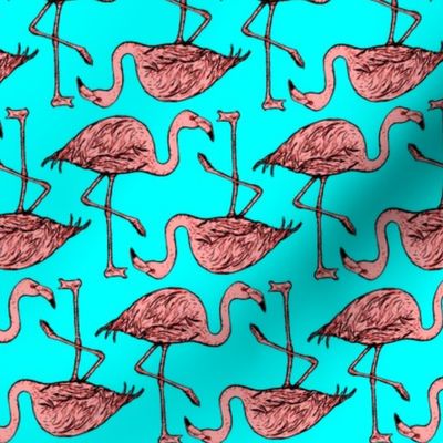 endless flamingos