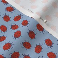 autumncolors ladybugs on light blue