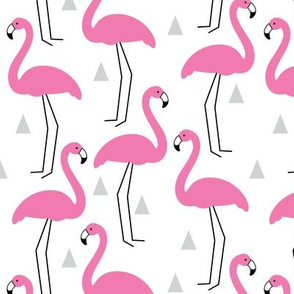 Pink flamingos on white