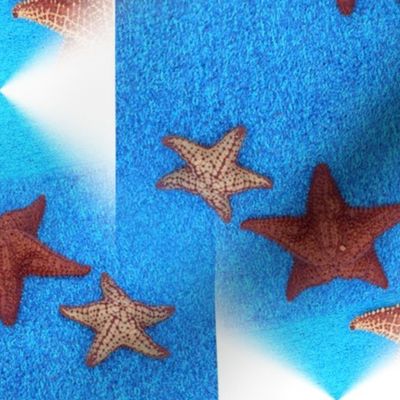 Starfish Angles
