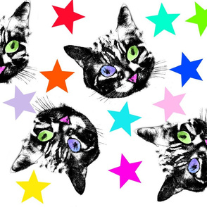 Pop Cat Heads with Stars