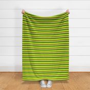 BN5 -  Earthy Hybrid Stripes in Green - Yellow - Brown