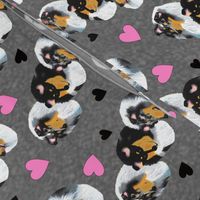 Collies with Hearts