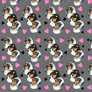 Collies with Hearts