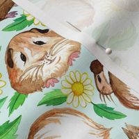 Guinea Pigs and Daisies in Watercolor on Pale Mint