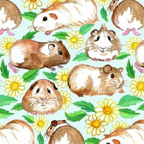 Guinea Pigs and Daisies in Watercolor on Pale Mint