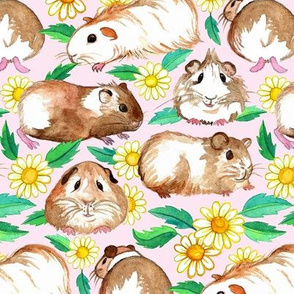 Guinea Pigs and Daisies in Watercolor on Light Pink